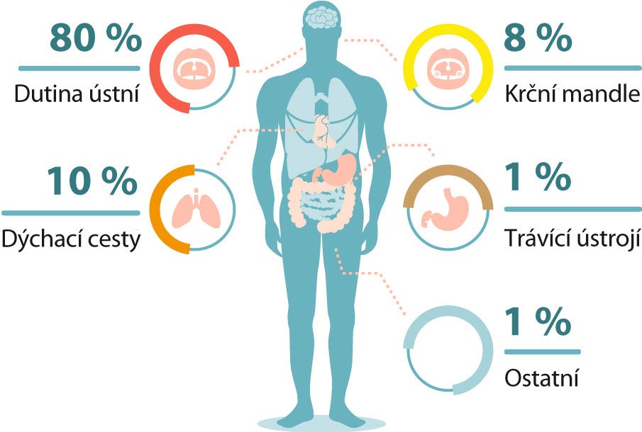 Příčiny zápachu z úst - 80 % dutina ústní - 10 % dýchací cesty - 8 % krční mandle - 1 % trávící ústrojí - 1 % ostatní příčiny